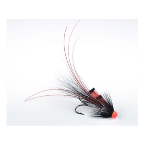 Pot Belly Black Boar