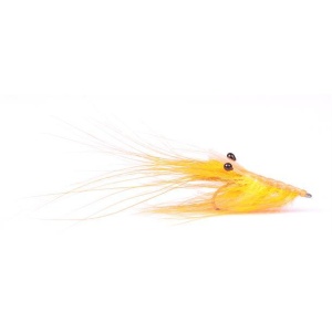 Pattegrisen Orange