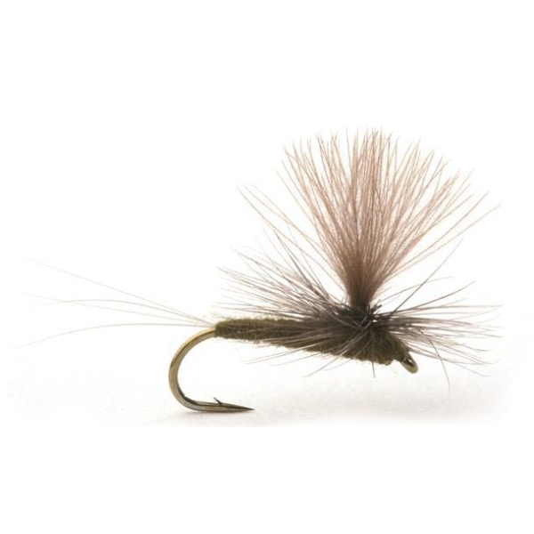 Baetis Dark Olive - Bilde 2