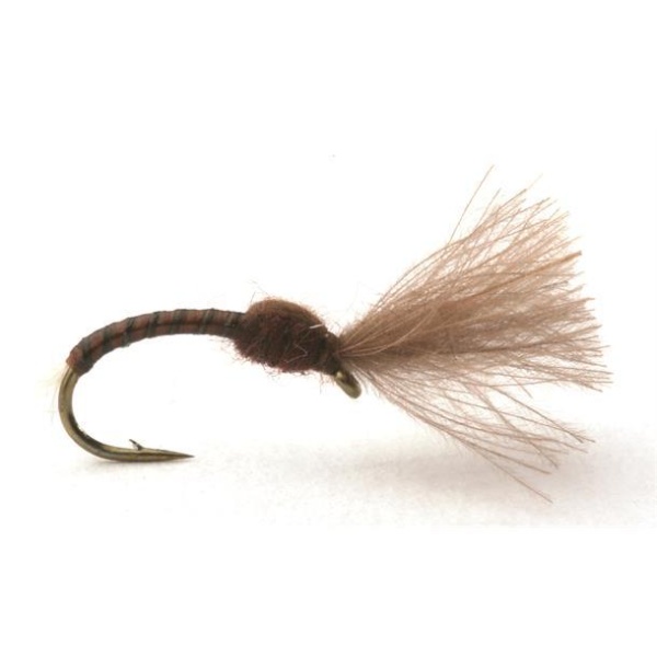 CDC Suspender Midge Brown