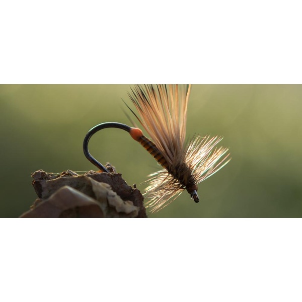 Ahrex FW503 - Dry Fly Light Barbless - Bilde 3