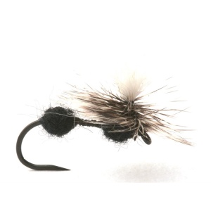 Parachute Ant