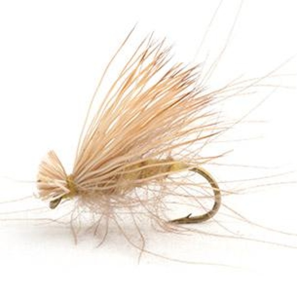 CDC ELK CADDIS GUL VÅRFLUE TØRR - 12