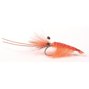 Orange Cdc shrimp #6