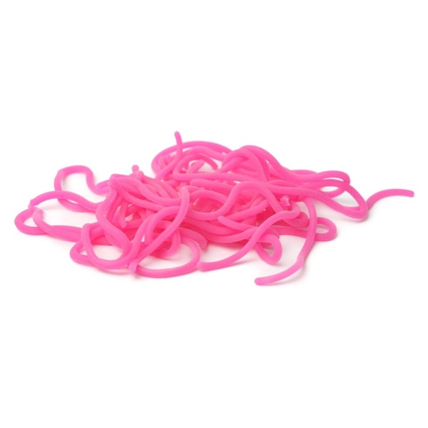 Caster’s Squirmito Worm - Bilde 7