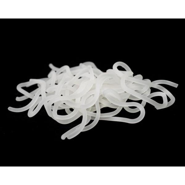 Caster’s Squirmito Worm - Bilde 11