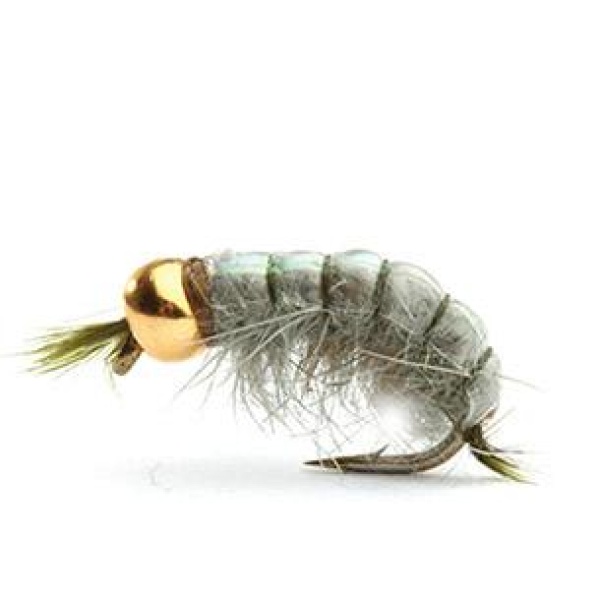 BEAD HEAD SCUD OLIVE NYMFE - 12
