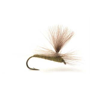 Baetis Medium Olive