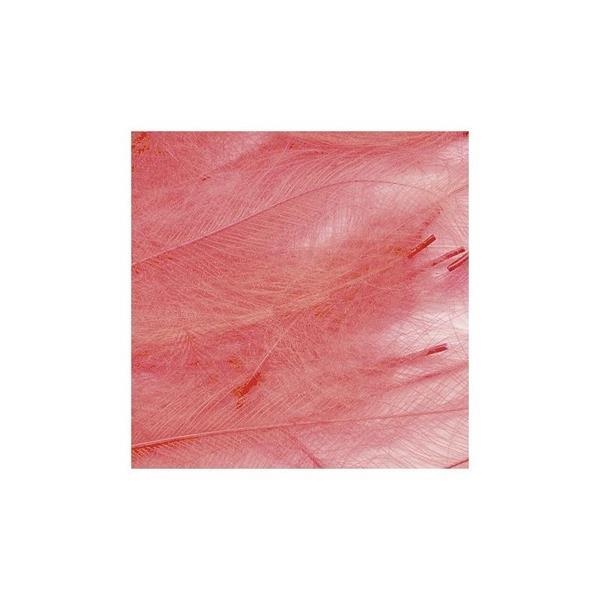 CDC Feathers 1gr - Bilde 11