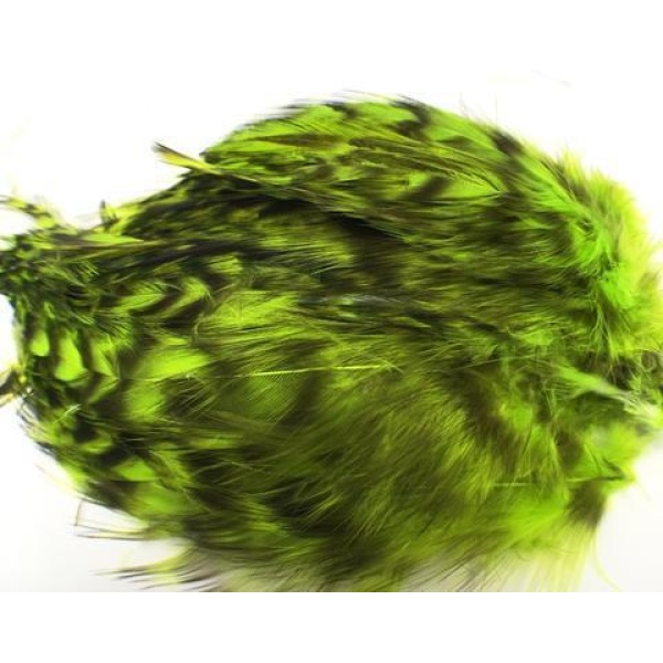 Barred Strung Neck Hackle