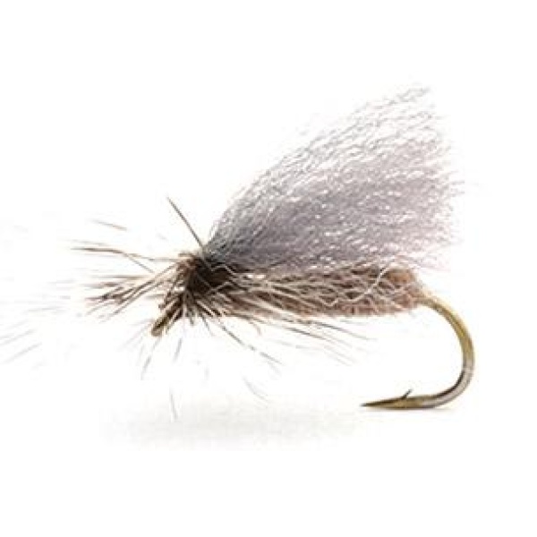 RENAFLUA GREY - 10