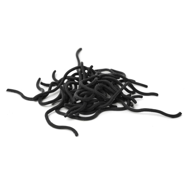 Caster’s Squirmito Worm - Bilde 2