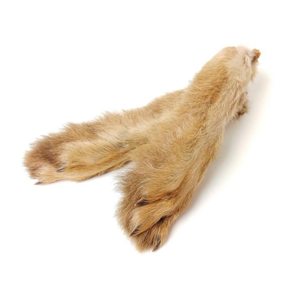 Hares Feet - Bilde 3