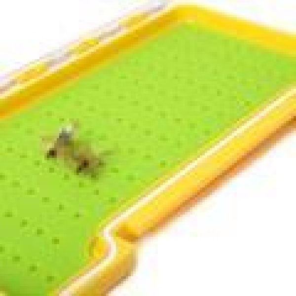 Fly-Dressing Yellow Box - Large Sili - Bilde 2