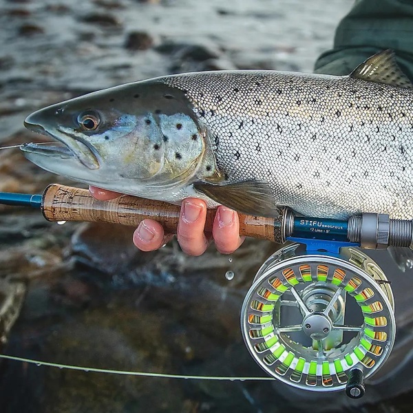 Vision Stifu Seatrout flyrod - Bilde 2
