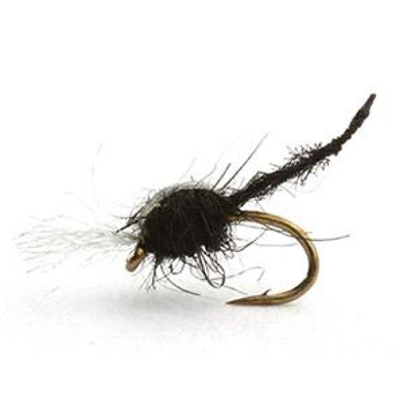 PALOMINO MIDGE BLACK NYMFE - 22
