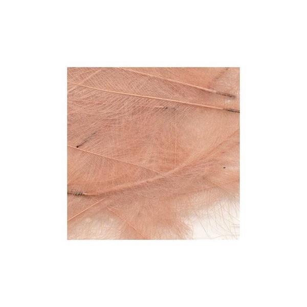 CDC Feathers 1gr - Bilde 4