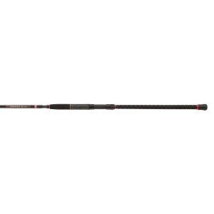 Penn Prevail II LE Uptide 3.00m 70-300g 2-Delt