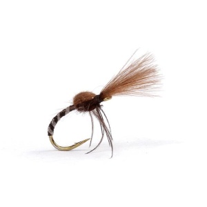 Spider Midge Genders Black