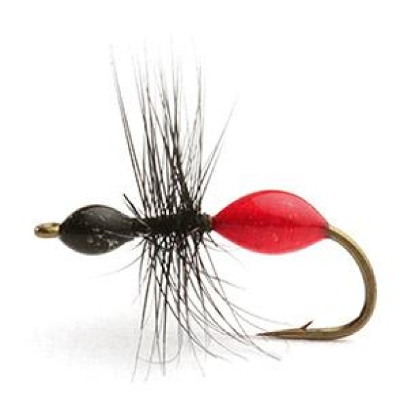TRANSPARANT ANT BLACK MAUR TØRR - 12