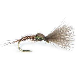 Shuttlecock Emerger PTN