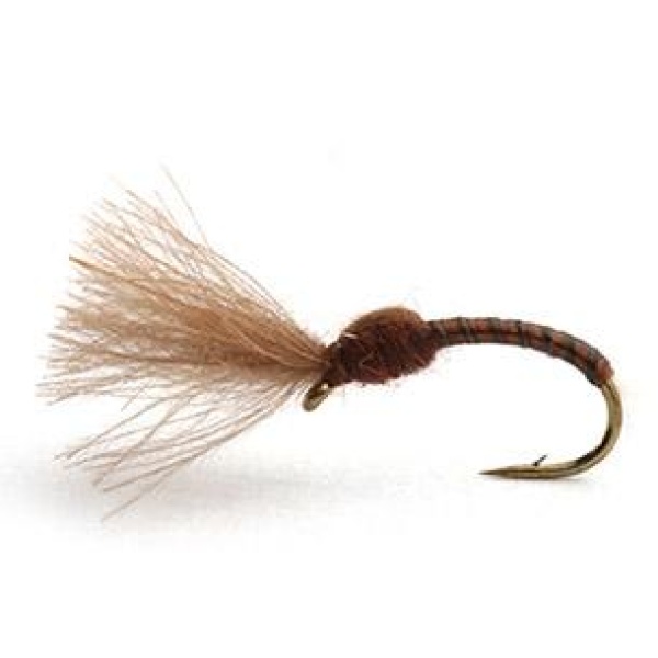 CDC SUSPENDER MIDGE BROWN - 18