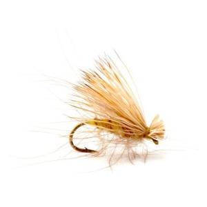 CDC Elk Caddis Yellow