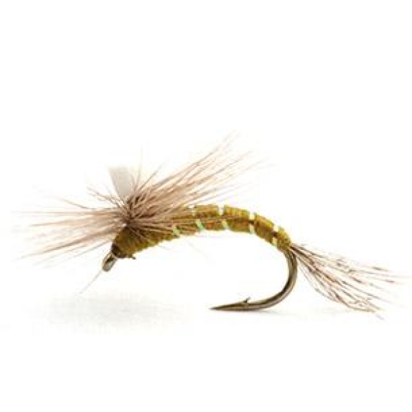 BAETIS KLEKKER OLIVE - 18