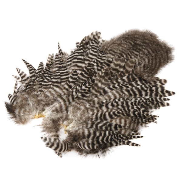 Whiting Rooster SH/C - Bilde 5