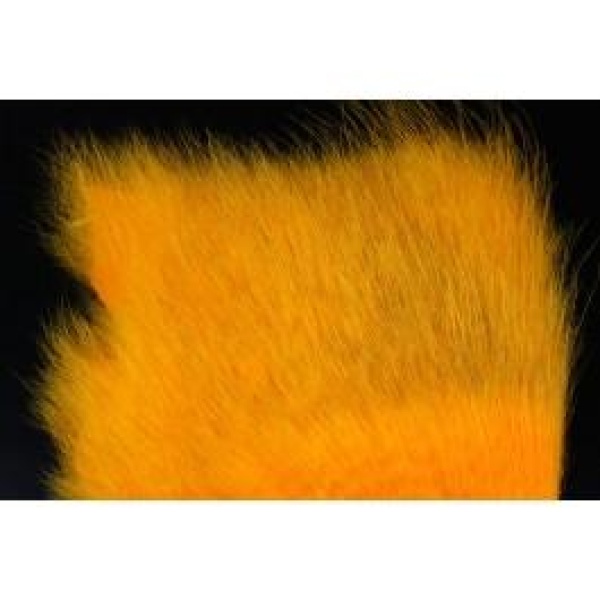 American Opossum Sunbust