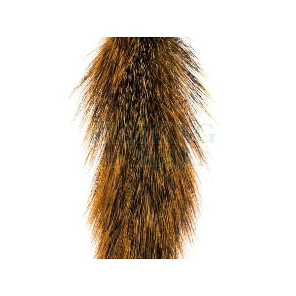 Silver Tip Squirrle Tail - Bilde 2