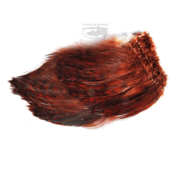 Barred Strung Neck Hackle - Bilde 5