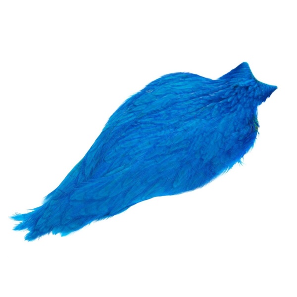 American Hen Cape - Bilde 5