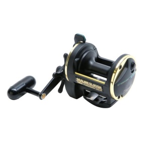 Daiwa Sealine Slosh 30H