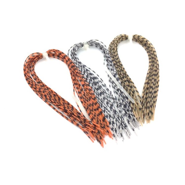 Barred Round Rubberlegs - Bilde 7