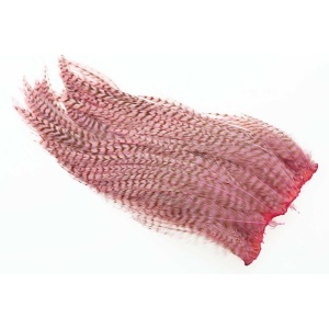 Ewing #1 Bleached Pink Grizzly Deceiver Patch