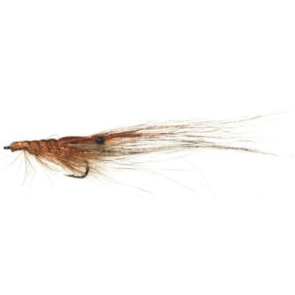 Organza Shrimp - TMC 2312 #8