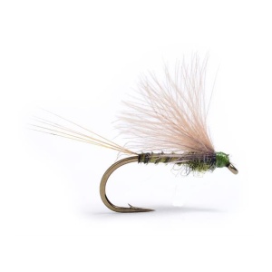 Cdc Biot Dun Emerger DK Olive