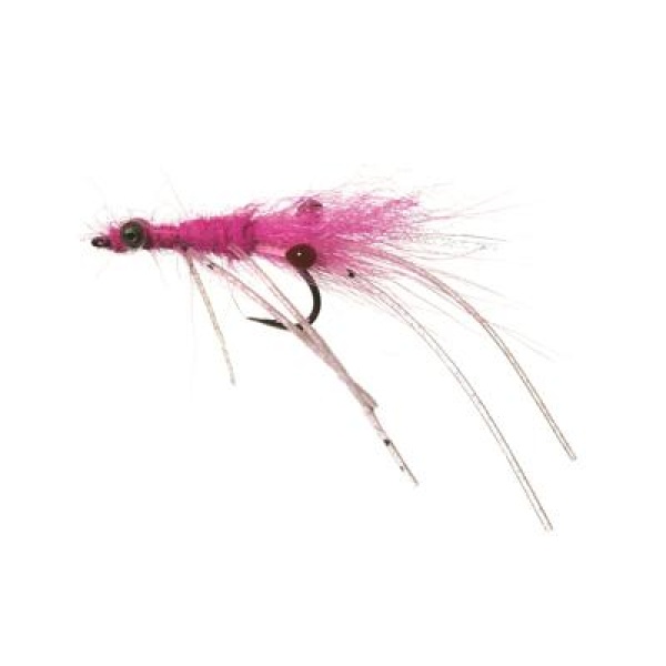 Palæreje Pink TMC 2312 #6