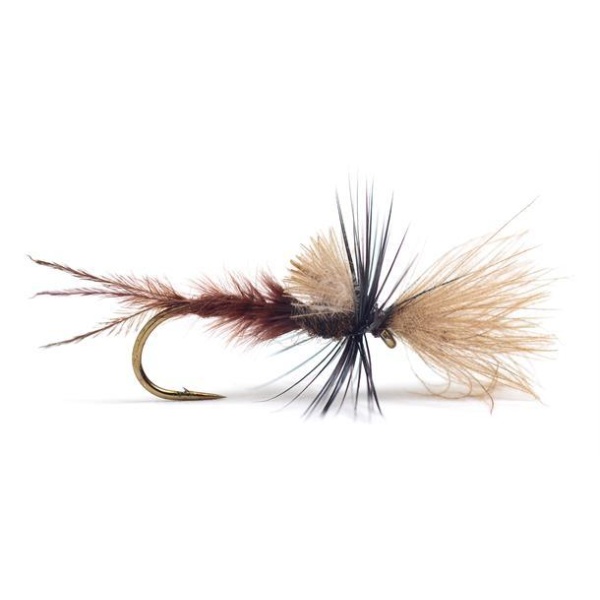 Quigley Cripple Lepto - Bilde 3