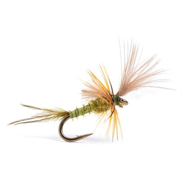 Quigley Cripple BWO - Bilde 3