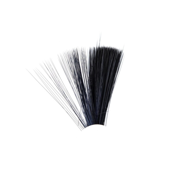 Tail Fibres - Bilde 2