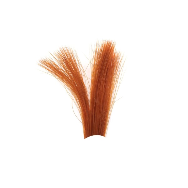 Tail Fibres - Bilde 3