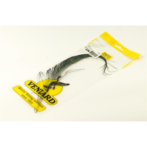 Peacock sword tails