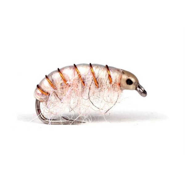 UV Gammarus White #8