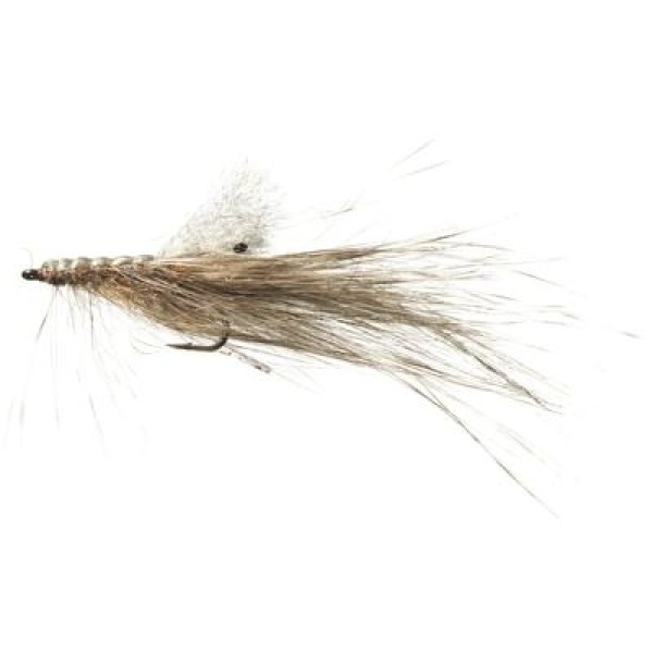 Pattegrisen Grizzly