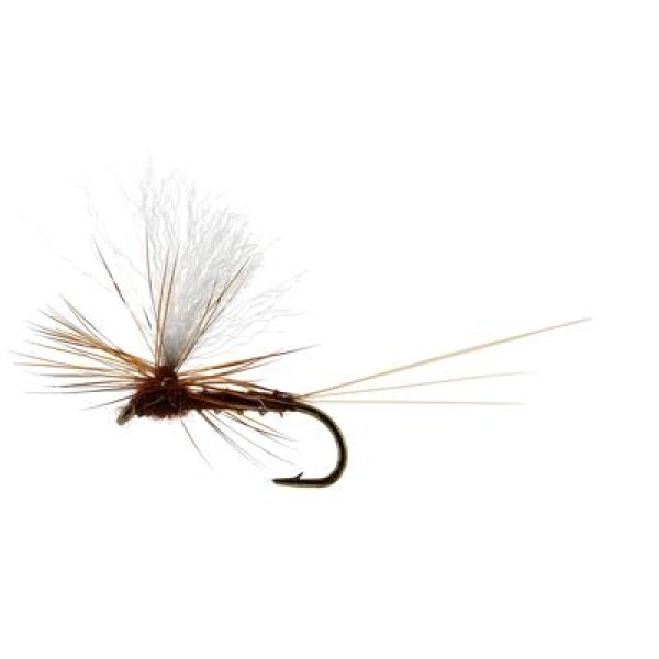 Vespertina Dun Biot Brown TMC100
