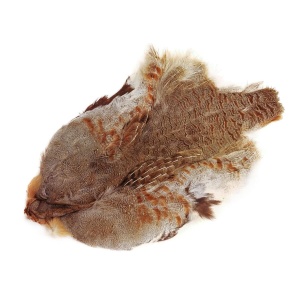 Hungarian Partridge Skin #1 Natural