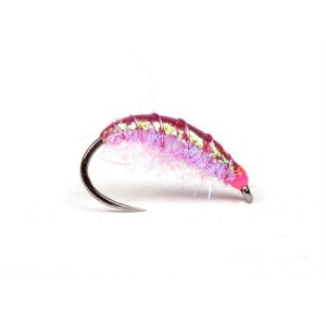 Funky Shrimp