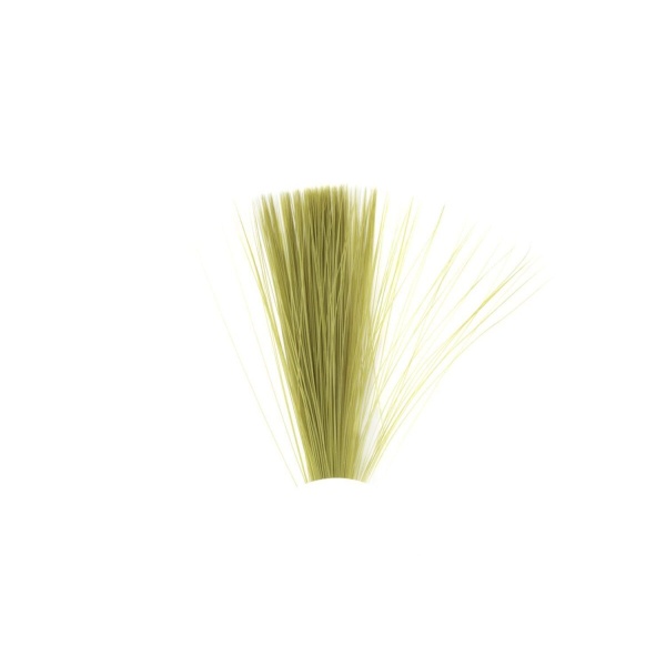 Tail Fibres - Bilde 5